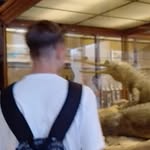 Márk Rábely - @mark_rabely - Instagram