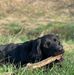 Markus Raddatz - Facebook