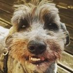 Mark-Oliver Rahn - @putaks - Instagram