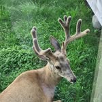 Mark Rahn - @therahnch - Instagram