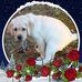 Mark Raisbeck - Facebook