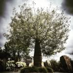Mark Rall - @howmuchplastic - Instagram