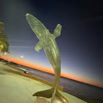 Mark Ralston - @ralstonmark - Instagram