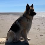 Mark Ralston - @_mark.ralston_ - Instagram