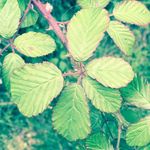 Mark - @mark.ramsden_ - Instagram