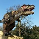 mark ramsden - @ramsden_mark - Instagram