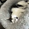 Mark Rappaport - @markrappaport - TikTok