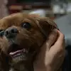 rapaport.mark - @jackthecav - TikTok