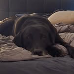 Mark Raup - @markraup - Instagram