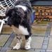 Mark Rawnsley - Facebook