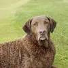 Mark Rawlins - @mark.rawlins1 - TikTok