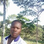 Mark Ray - @markray4690 - Instagram
