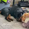 Mark Raybould - @mark.raybould - TikTok