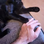 Mark Rayner - @mnrayner281172 - Instagram
