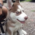 Mark Razo - @razomark10 - Instagram