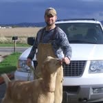 Mark Razorback - @markrazorback - Instagram