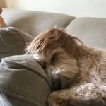 Mark Reading - @markreading66 - Instagram