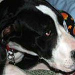 Mark Ream - @mtr0369 - Instagram