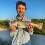 Mark Reed - @markreed - Instagram