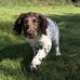 Mark Rees - Facebook