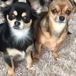 Mark Rees - @rees5639 - Instagram