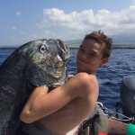 Mark Reeves - @markreeves_808 - Instagram