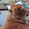 Mark Reeves - @markreeves - TikTok