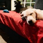 Mark Reilly - @reillyaround - Instagram