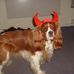 Mark Reilly - Facebook