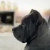 Mark Reinert - @mark.reinert - TikTok