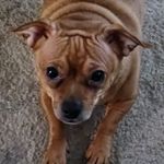 Mark Renner - @mark.renner07 - Instagram