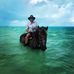 Mark Renner - Facebook