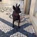 Mark Rettenmaier - Facebook