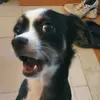 Mark Riccadonna - @mark.riccadonna - TikTok