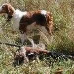 Mark Riches - @mark.rich.4717 - Instagram