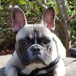 Mark Riches - @markriches60 - Instagram