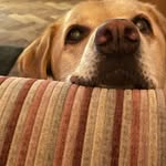 Mark Riches - @montydog285 - Instagram