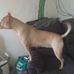 Mark Ridgeway - Facebook