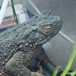 Mark Riding - @mark.riding.7712 - Instagram