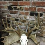 Mark Ridinger - @ridingermark - Instagram