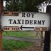 Roy Taxidermy by Mark Riehm and Roger Hamill - Facebook