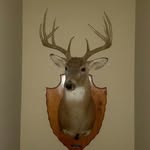Mark Rigdon - @mrigdon1026 - Instagram