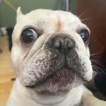 Mark Grimes - @realmarkgrimes - Instagram