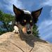 Markus Rist - Facebook