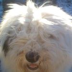 Mark Ritchie - @mark.ritchie.756 - Instagram