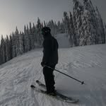Mark Roach - @markroach73 - Instagram