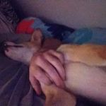 Mark Roark - @mark.roark.798 - Instagram