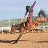 mark.roark - @mark.roark - TikTok