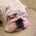 Mark Robbins - @mark.robbins.5836 - Instagram