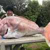Mark RobertShaw - @mark.robertshaw2 - TikTok